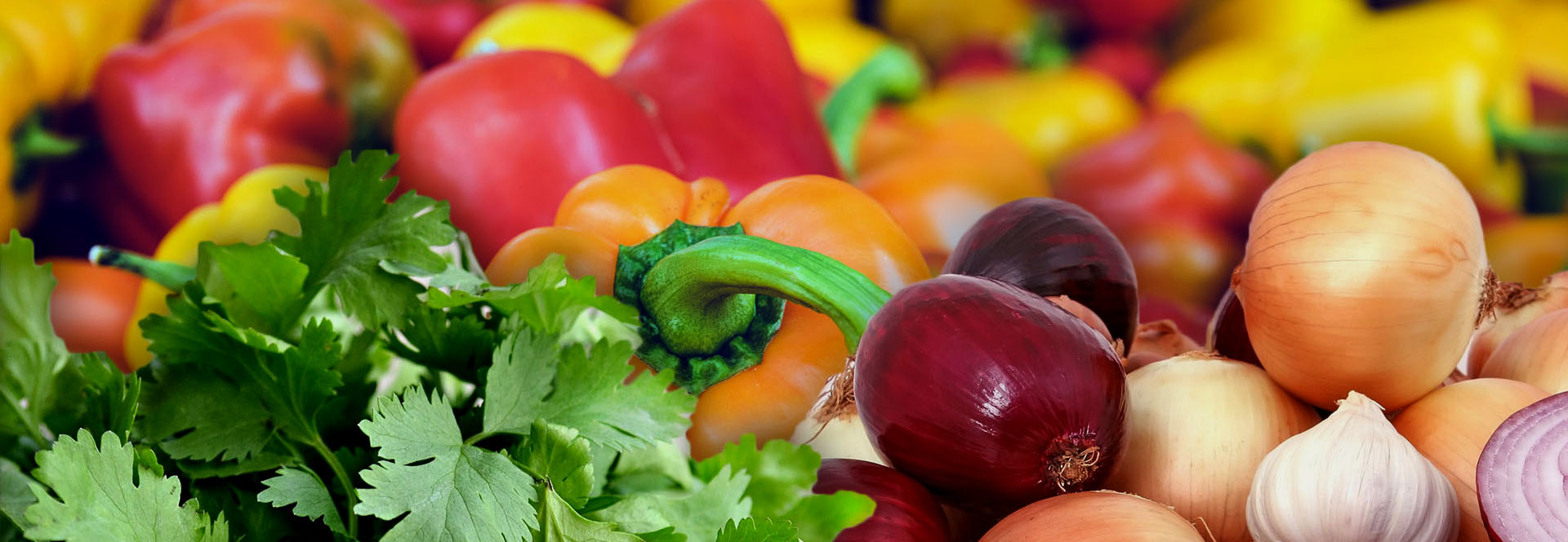 Tienda Sofrito Montero